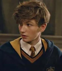 Newt Scamander 