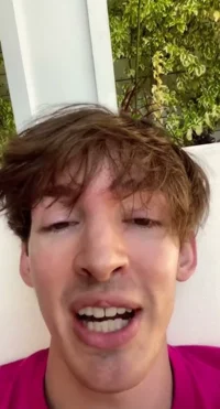 Flamingo YouTuberomg