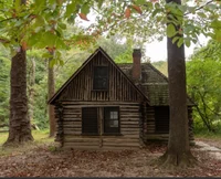 Camp Cabin