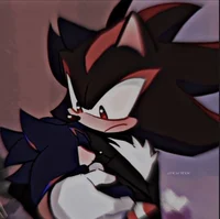 Shadow the hedgehog