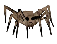 Bunker Spider