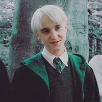 Draco Malfoy bf