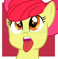 Apple bloom 