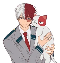 Shoto Todoroki