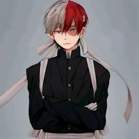 Shoto Todoroki