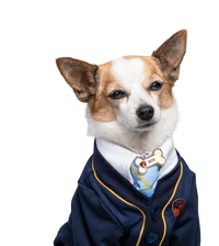 DOG Pup Academy 
