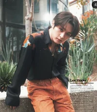 Lee Minho 