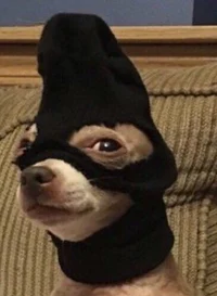 Koschey