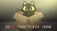 Do NOT take this cat