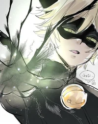 Cat Noir