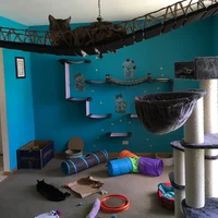 Room of CATS