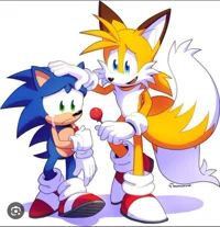 Swap sonic duo