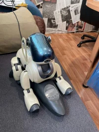 Dizel the aibo