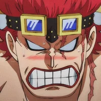 Eustass kidd roommat