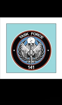 Task force 141