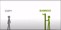 Copy vs Bamboo