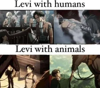 Gard levi