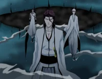 Aizen Gin and Tosen