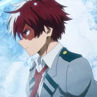 Shoto Todoroki 