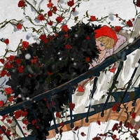 Donquixote Rosinante