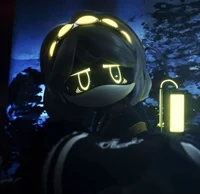 Serial Designation V