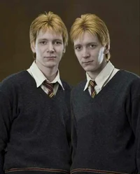 Los gemelos Weasley 
