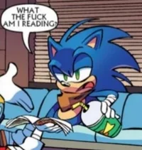 Annoyed Sonic