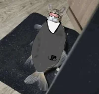 spy fish cat
