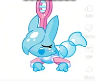 Bubble dog 