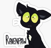Raven paw