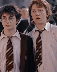 Harry and Ron 