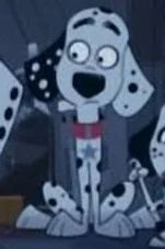 Dylan Dalmatian