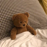 Stuffed Bear