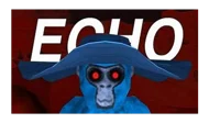 Echo