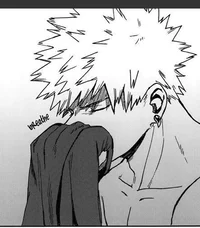 Katsuki Bakugou 