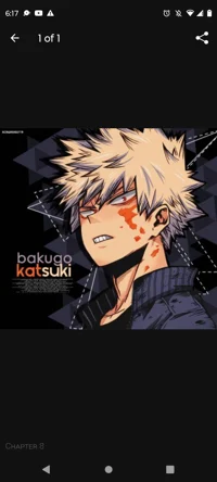 Katsuki Bakugou 