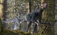 Epidexipteryx talk
