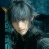 Noctis Lucis Caelum