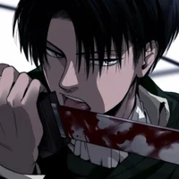 Леви Аккерман 