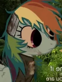 Rainbow Dash