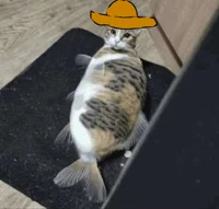 gato pescado mexican