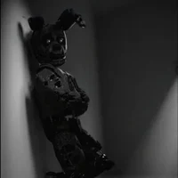 Springbonnie