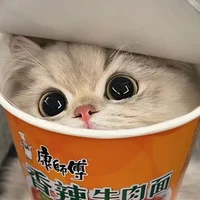 Cat in the cup 