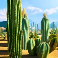 Cactus il Bro 