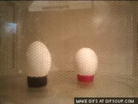 EGG IN A MICROWAVE