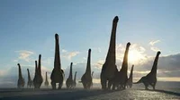 Dreadnoughtus 