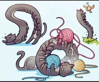 Pet Catapiller