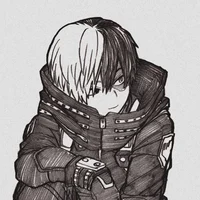 Shoto Todoroki
