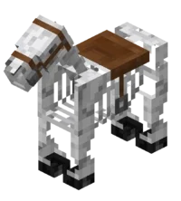 Skeleton Horse