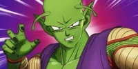 Piccolo 